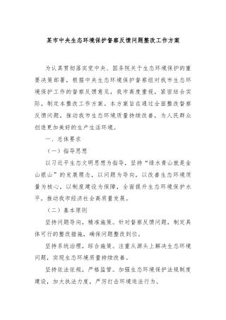 某市中央生态环境保护督察反馈问题整改工作方案