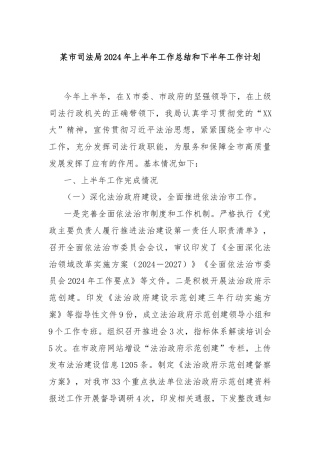 某市司法局2024年上半年工作总结和下半年工作计划