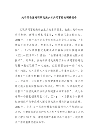 关于某县党建引领民族乡村共同富裕的调研报告