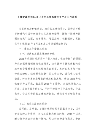 X镇财政所2024年上半年工作总结及下半年工作计划
