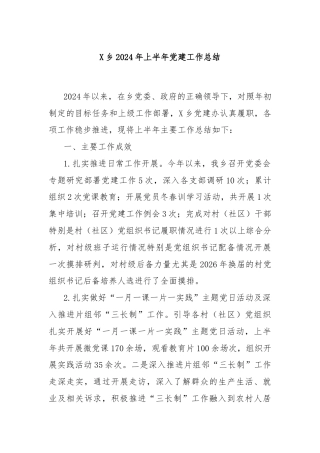X乡2024年上半年党建工作总结