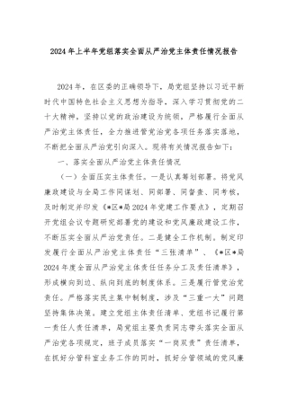 2024年上半年党组落实全面从严治党主体责任情况报告