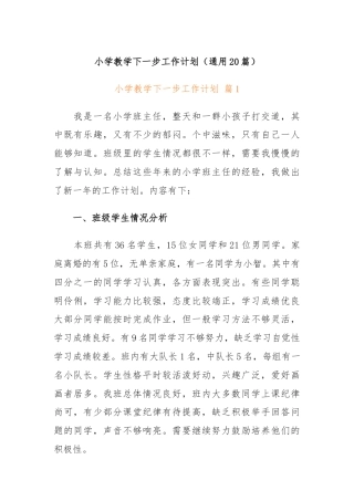 (20篇)小学教学下一步工作计划