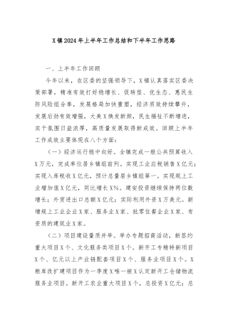 X镇2024年上半年工作总结和下半年工作思路