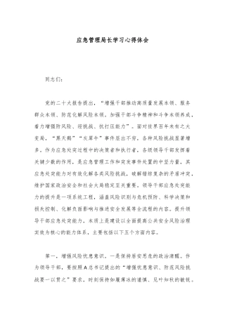 应急管理局长学习心得体会