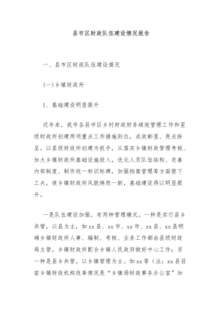县市区财政队伍建设情况报告