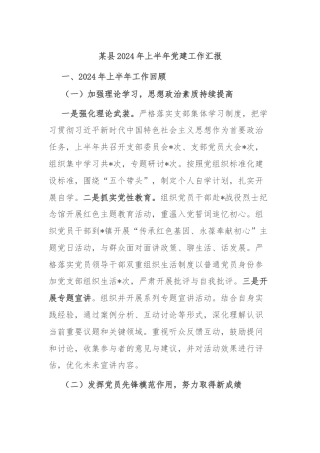 某县2024年上半年党建工作汇报