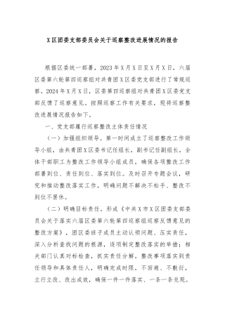 X区团委支部委员会关于巡察整改进展情况的报告