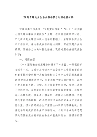 XX局专题民主生活会领导班子对照检查材料