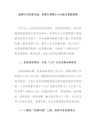 能源公司经验交流：党建引领聚合力共绘发展新图景