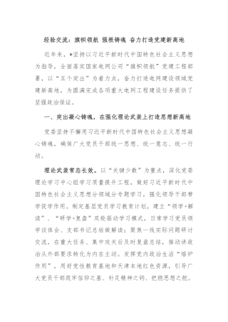 经验交流：旗帜领航 强根铸魂 奋力打造党建新高地