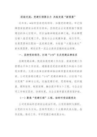 经验交流：党建引领聚合力 共绘发展“新图景”