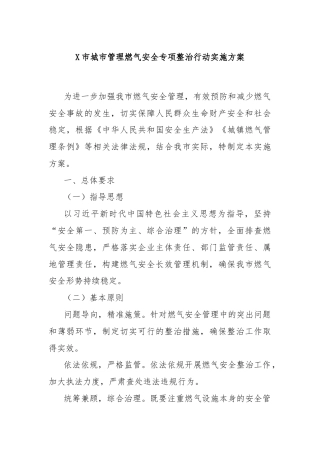 X市城市管理燃气安全专项整治行动实施方案