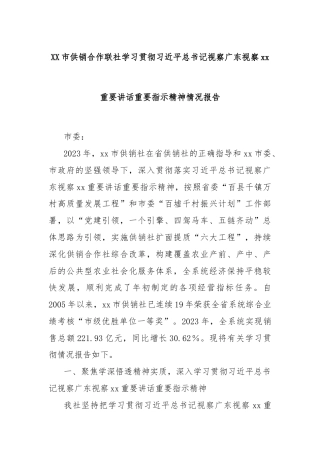 XX市供销合作联社学习贯彻习总书记视察广东视察xx重要讲话重要指示精神情况报告