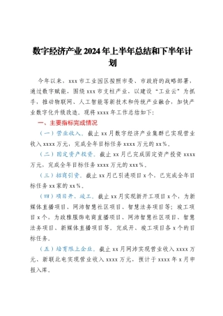 数字经济产业2024年上半年总结和下半年计划