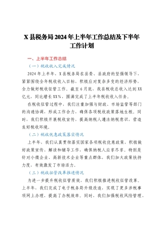X县税务局2024年上半年工作总结及下半年工作计划