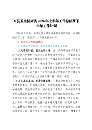X县卫生健康委2024年上半年工作总结及下半年工作计划