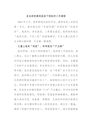 县自然资源局派驻干部驻村工作感悟