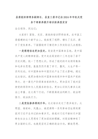 县委组织部常务副部长、县直工委书记在2024年市机关党务干部素养提升培训班典型发言