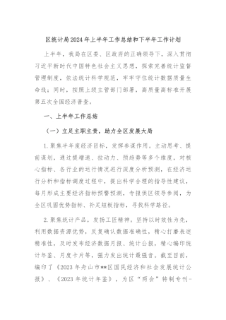 区统计局2024年上半年工作总结和下半年工作计划