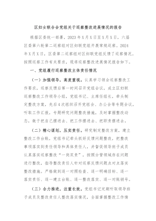 区妇女联合会党组关于巡察整改进展情况的报告