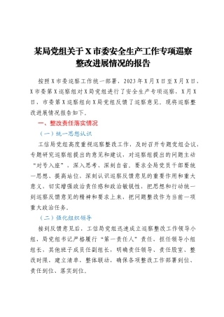 某局党组关于 X 市委安全生产工作专项巡察整改进展情况的报告