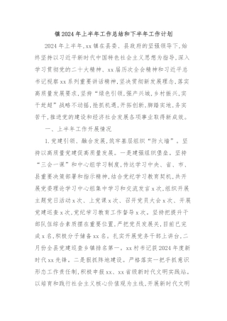 镇2024年上半年工作总结和下半年工作计划