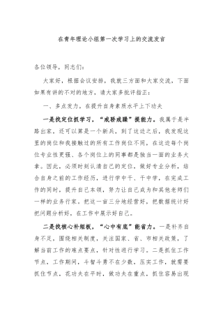 在青年理论小组第一次学习上的交流发言