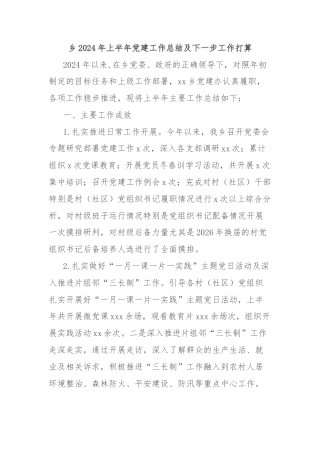 乡2024年上半年党建工作总结及下一步工作打算