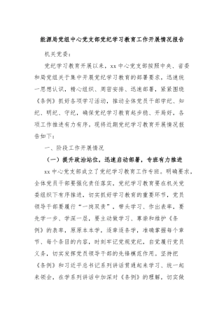 能源局党组中心党支部党纪学习教育工作开展情况报告