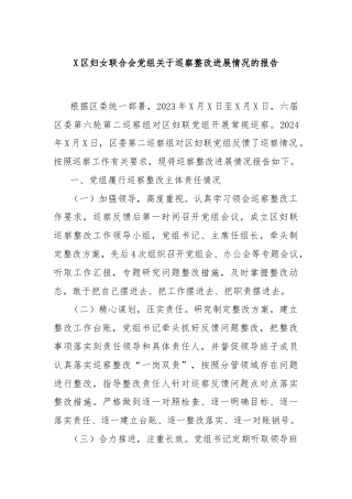 X区妇女联合会党组关于巡察整改进展情况的报告
