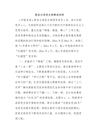 税务分局党支部事迹材料
