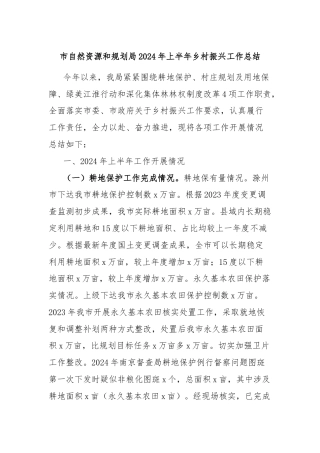 市自然资源和规划局2024年上半年乡村振兴工作总结