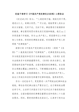 纪检干部学习《中国共产党纪律处分条例》心得体会
