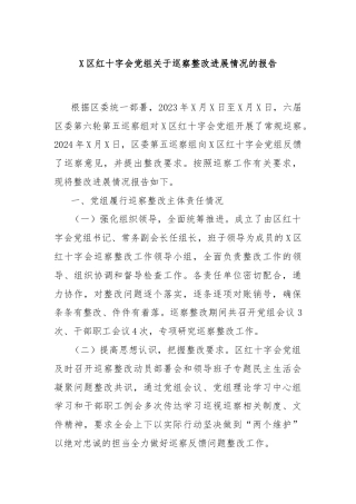 X区红十字会党组关于巡察整改进展情况的报告