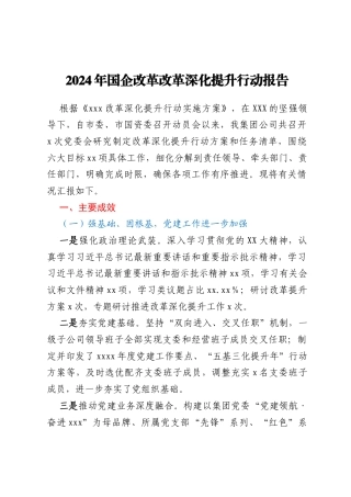 2024年国企改革改革深化提升行动报告