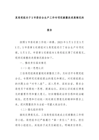 某局党组关于X市委安全生产工作专项巡察整改进展情况的报告