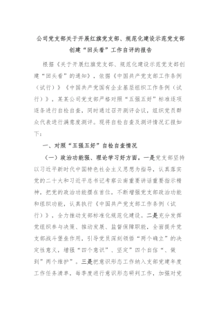 公司党支部关于开展红旗党支部、规范化建设示范党支部创建“回头看”工作自评的报告