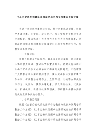 X县公an机关刑事执法领域突出问题专项整治工作方案