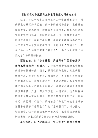 贯彻落实对防汛救灾工作重要指示心得体会发言