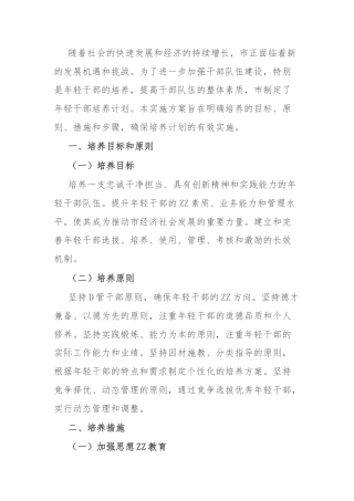 市年轻干部培养计划的实施方案