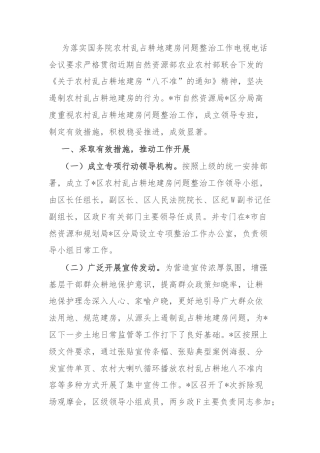 区农村乱占耕地建房专项整治行动工作报告