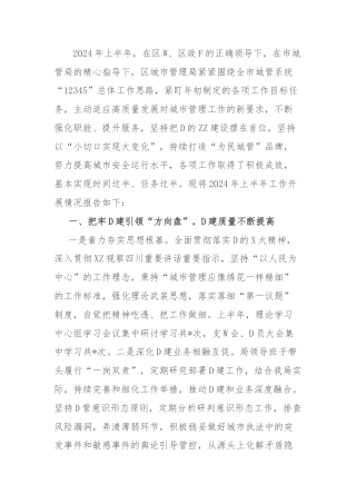 区城市管理局2024年上半年工作总结及下半年工作计划