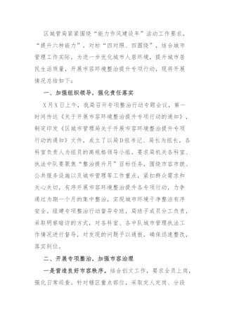 区城市管理局（区城市综合执法局）开展市容环境整治提升专项行动工作总结