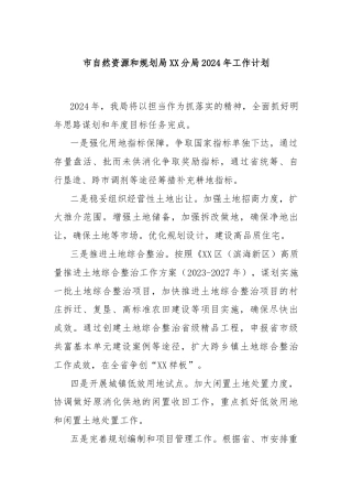 市自然资源和规划局XX分局2024年工作计划