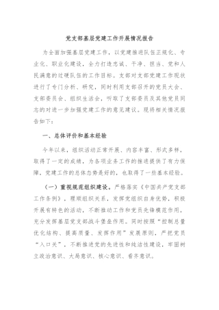 党支部基层党建工作开展情况报告