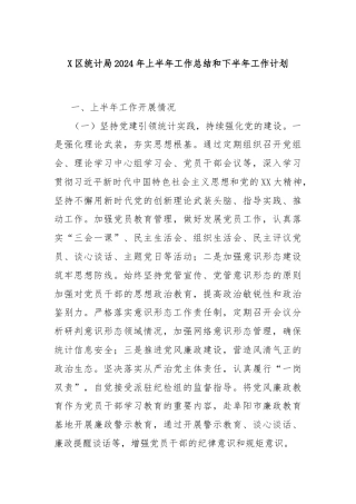 X区统计局2024年上半年工作总结和下半年工作计划