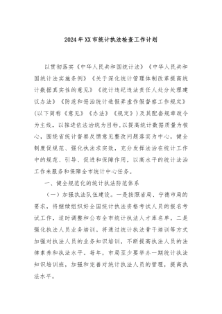 2024年XX市统计执法检查工作计划