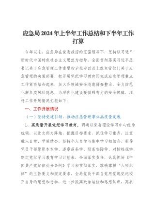 应急局2024年上半年工作总结和下半年工作打算