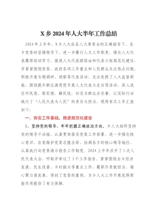 X乡2024年人大半年工作总结
